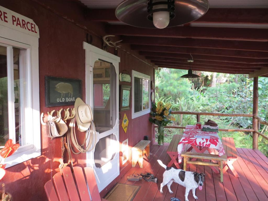Carson'S Kaloko Mountain Cabin Kailua-Kona Kamer foto